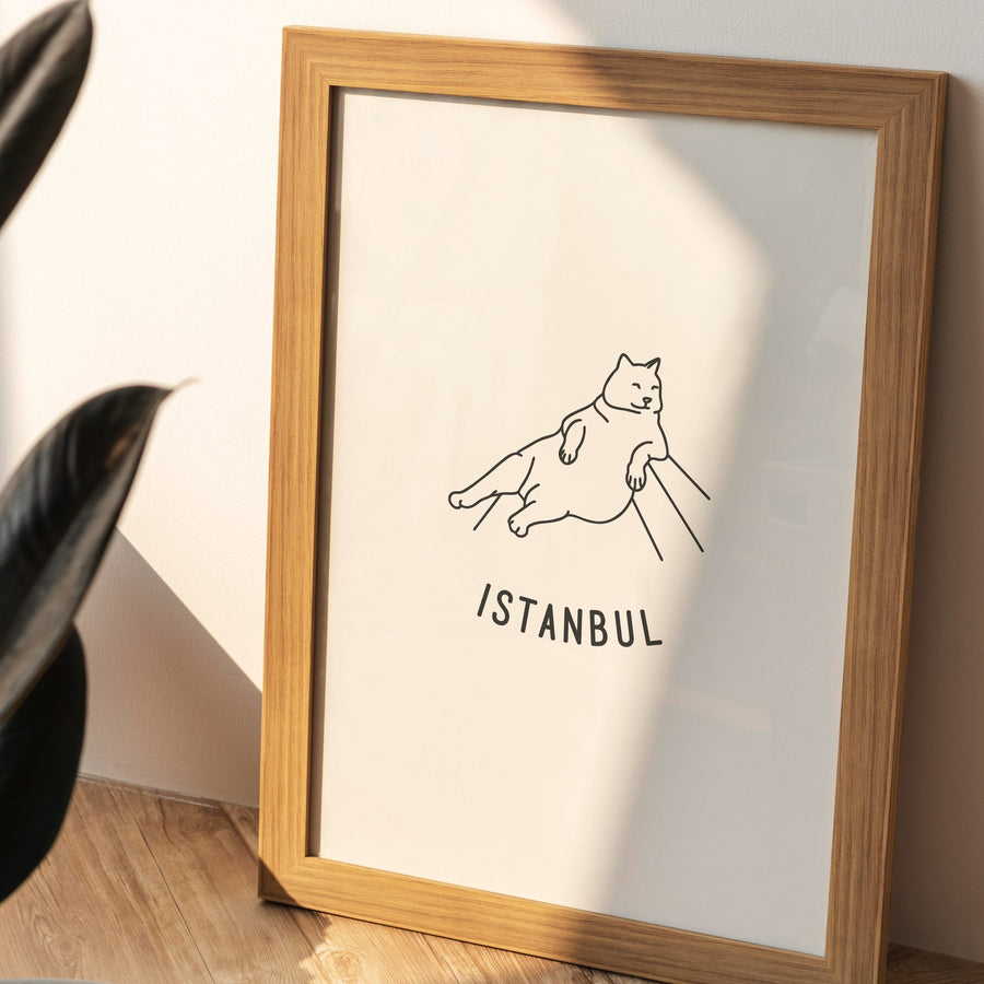 Affiche Monde, Istanbul - Fere, illustration et décoration en noir et blanc 